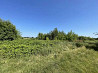 продажа земля сельскохозяйственного назначения Броварский, Пуховка, 435071 грн. 