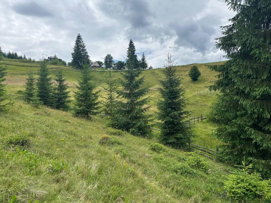 Продаж земельної ділянки в с. Яблуниця, навпроти ресторану "Грань" Івано-Франківськ - зображення 3