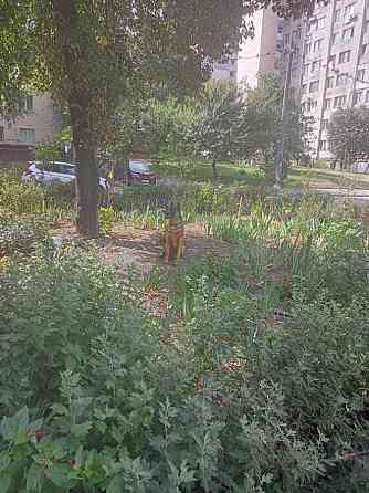 продажа 1-к квартира Киев, Соломенский, 37000 $ Київ