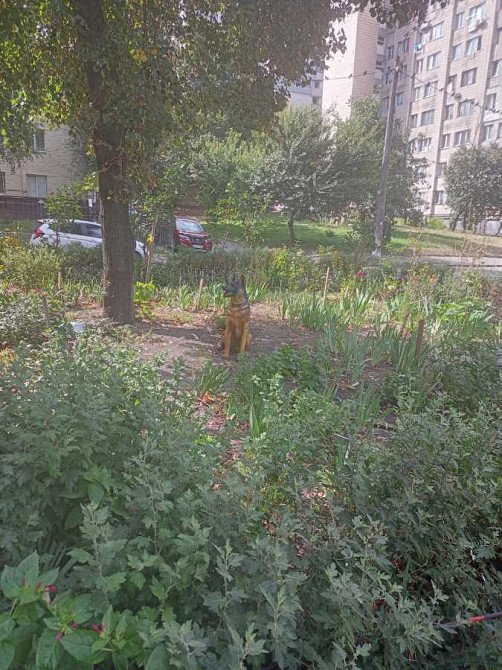 продажа 1-к квартира Киев, Соломенский, 37000 $ Київ - зображення 2