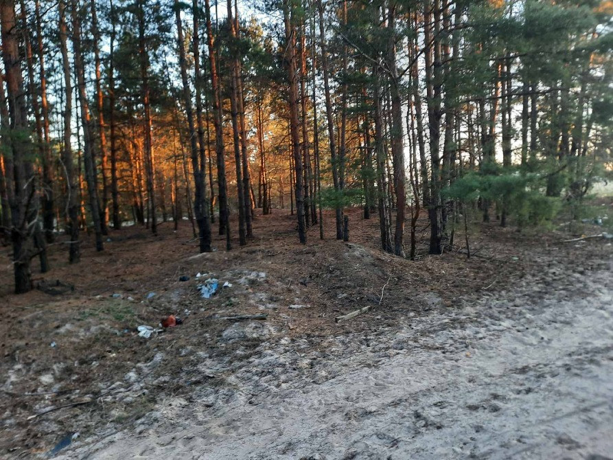 🌲 Продаж земельної ділянки в сосновому борі, с. Лебедівка! 🌲 Вышгород - изображение 5