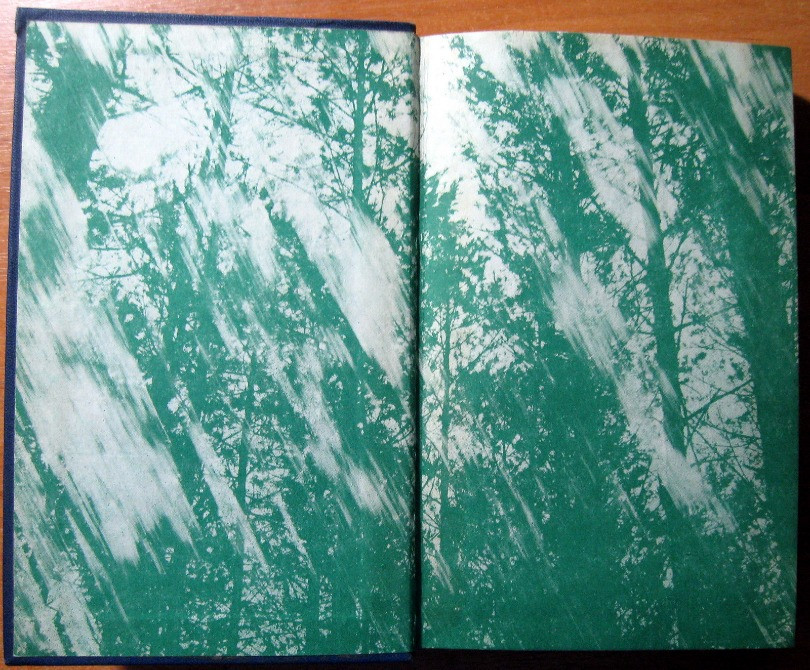 По той бік фронту. (Спогади партизана). А.П.Бринський Богодухів - зображення 2