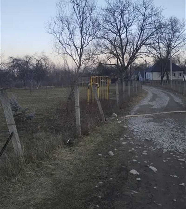 продажа земля сельскохозяйственного назначения Хустский, Залом, 99682 грн.  - зображення 1