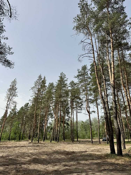 продажа участок под жилую застройку Новомосковский, Песчанка, 25000 $  - изображение 4