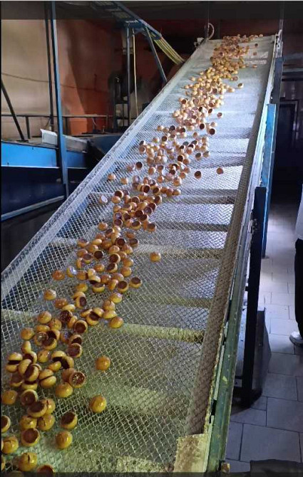 долгосрочная аренда производственные помещения Ставищенский, Ставище, 80000 грн./мес.  - зображення 4