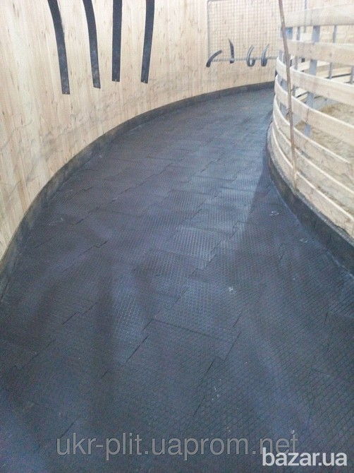 Резиновое модульное покрытие (толщина 20 мм) Бровары - изображение 2