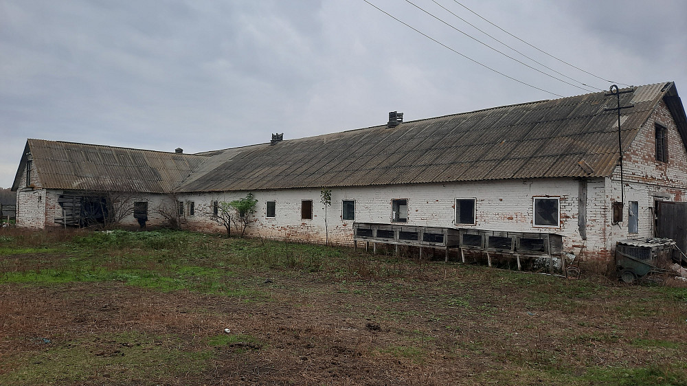 Продається приміщення Ферма Белая Церковь - изображение 9