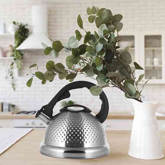 Чайник зі свистком Ofenbach KM-100306 2.7 л Киев