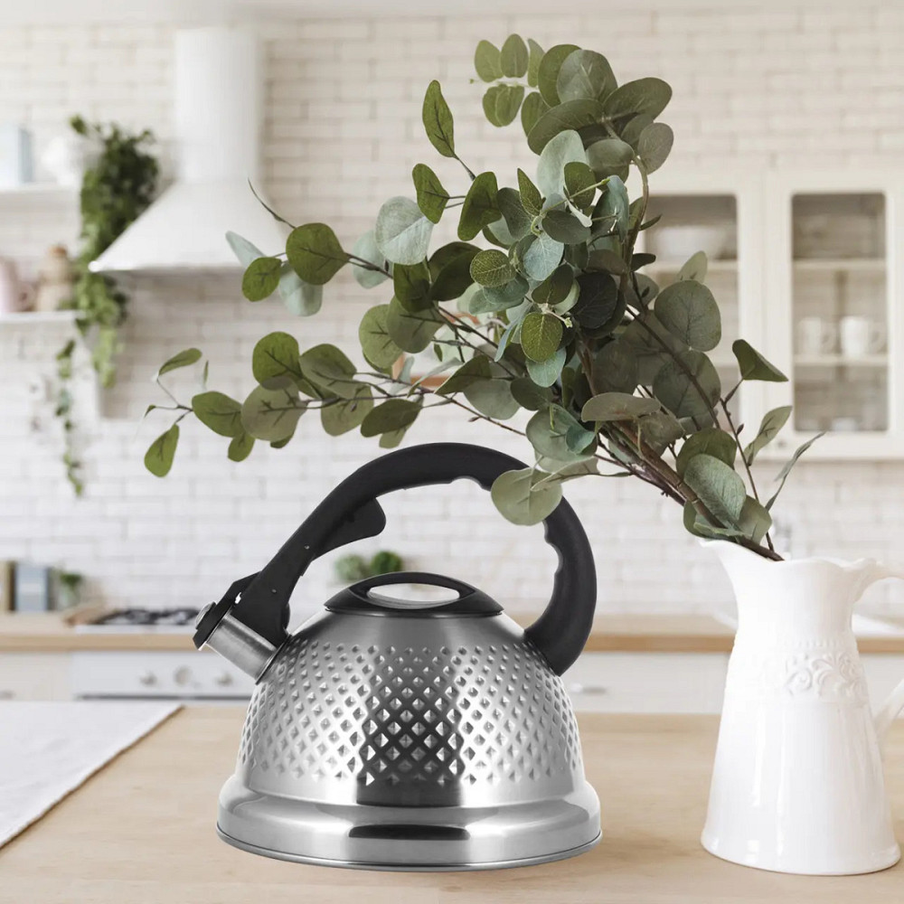 Чайник зі свистком Ofenbach KM-100306 2.7 л Киев - изображение 1