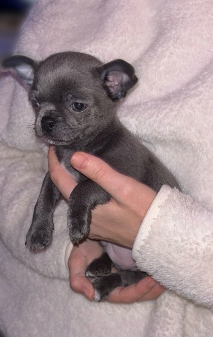 Предлагается к бронированию Харків - зображення 3