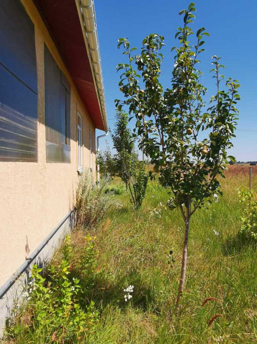 продажа 3-к дом Бориспольский, Процев, 42000 $  - зображення 7