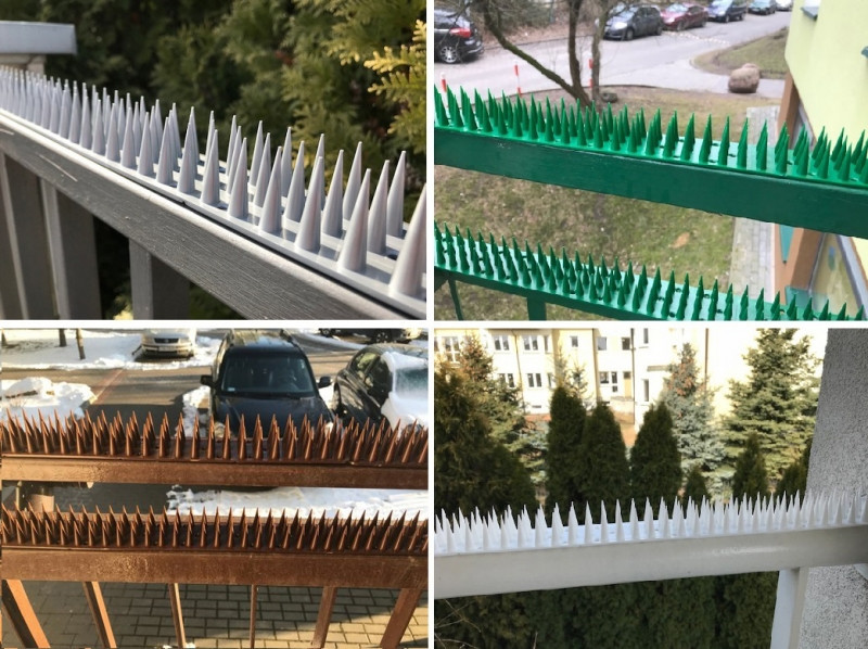 Шипы Jacopic от птиц и животных зеленые 50х3 см Одеса - зображення 5