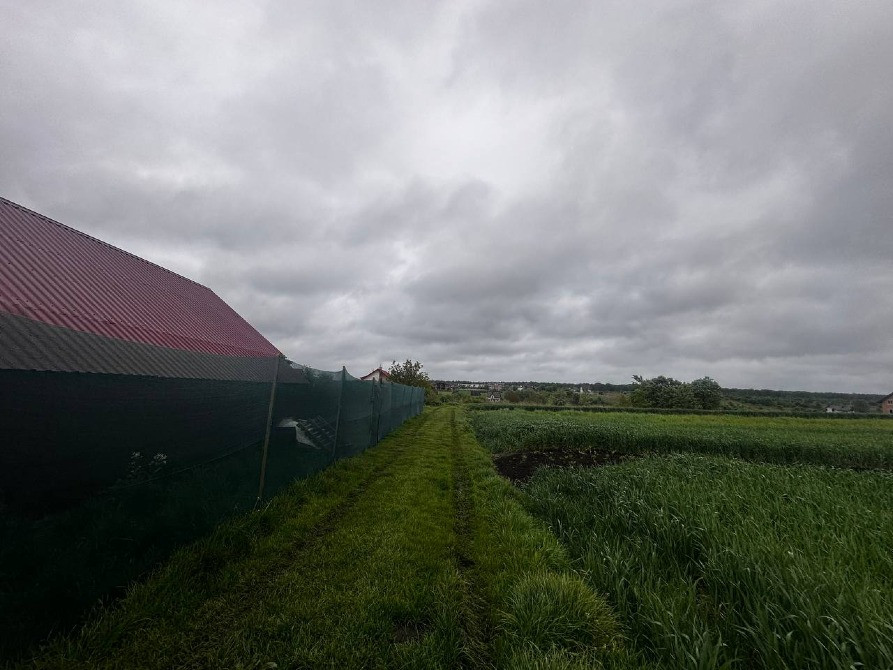 Продаж земельної ділянки Зубра осг 20соток Львів - зображення 10