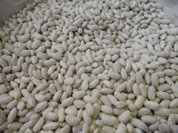 Посівма квасолі. Форвардні контракти. Гарантований викуп врожаю. Винница - изображение 1