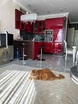 долгосрочная аренда 2-к квартира Киев, Шевченковский, 1000 $/мес. Киев