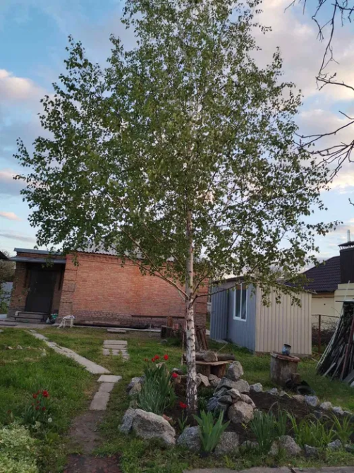 Продаж будинку Арнаутово Кропивницький - зображення 7