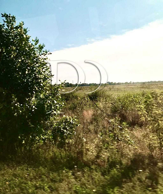 продажа участок под жилую застройку Вышгородский, Лютеж, 26000 $  - изображение 6