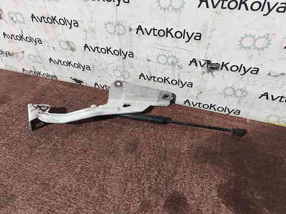 Петля капота левая Renault Kangoo 2013-2021 (654018491R) Ковель