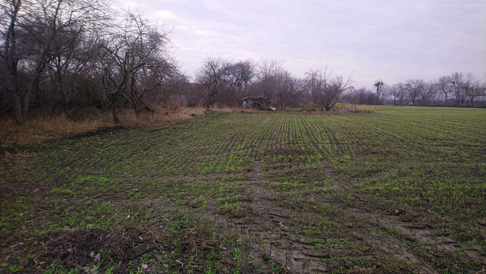 Продається земнльна ділянка Белая Церковь - изображение 6