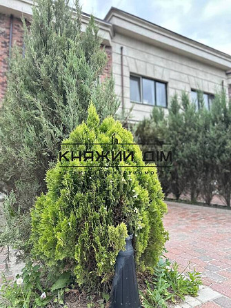 Продаж 2х кімнатної квартири ЖК Liverpool House КОД № 21146859 Київ - зображення 10