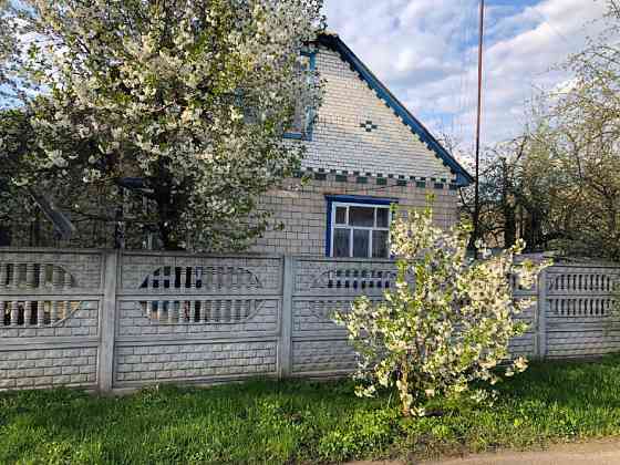 Будинок у м. Лохвиця 80 кв.м (земельна ділянка – 0,06 га) Лохвиця