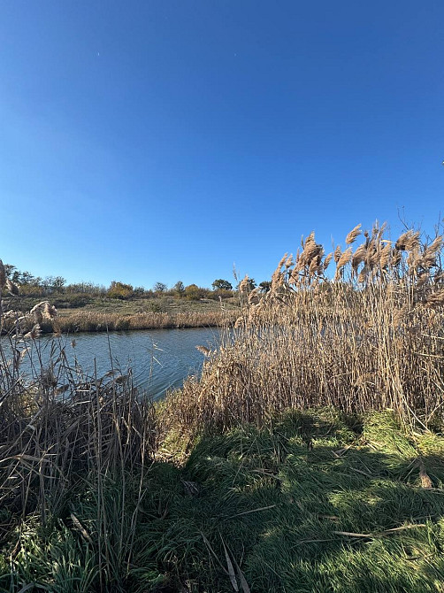 Продам ділянку/ участок в мальовничому передмісті Одеси! Одесса - изображение 5