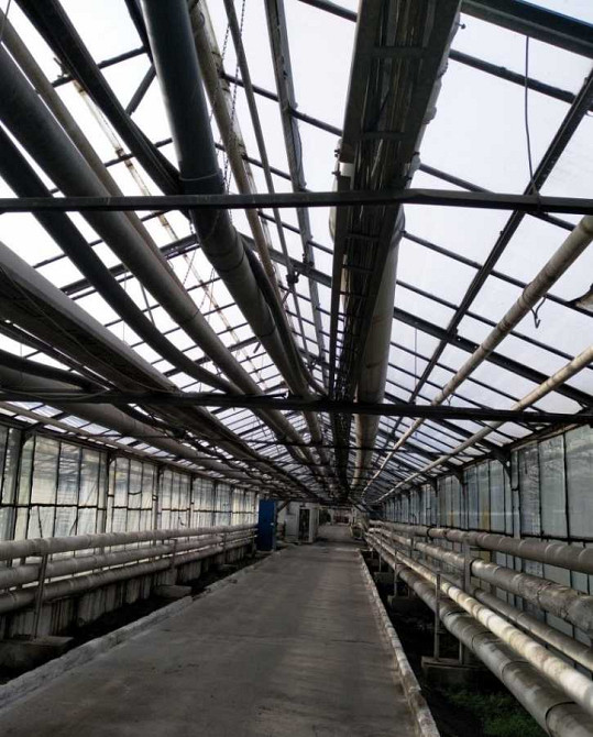 продажа производственные помещения Никопольский, Никополь, 13631538 грн. Никополь - изображение 7