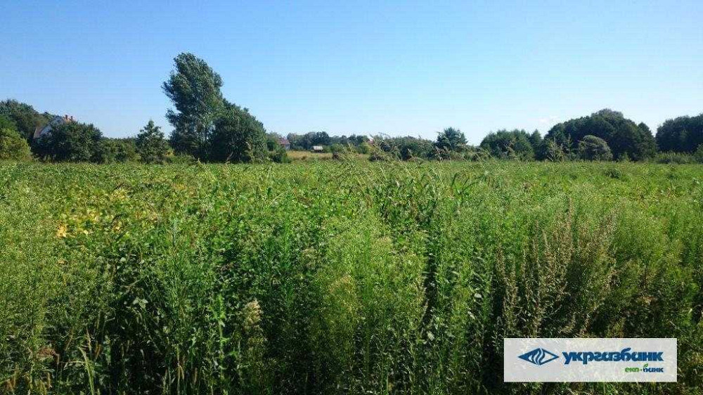 продажа участок под жилую застройку Васильковский, Зозули, 805000 грн.  - зображення 11