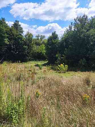 продажа участок под жилую застройку Богуславский, Богуслав, 9900 $ Богуслав