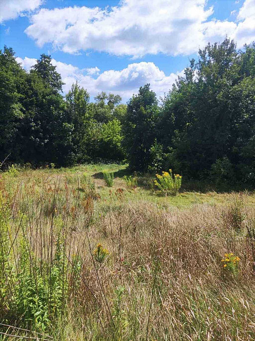 продажа участок под жилую застройку Богуславский, Богуслав, 9900 $ Богуслав - зображення 3