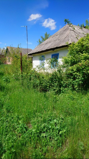 Продаж будинку в с. Сухоліси — ідеальне місце для життя або дачі! Белая Церковь - изображение 1