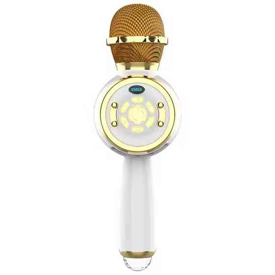 Караоке Микрофон-колонка DS810 Херсон