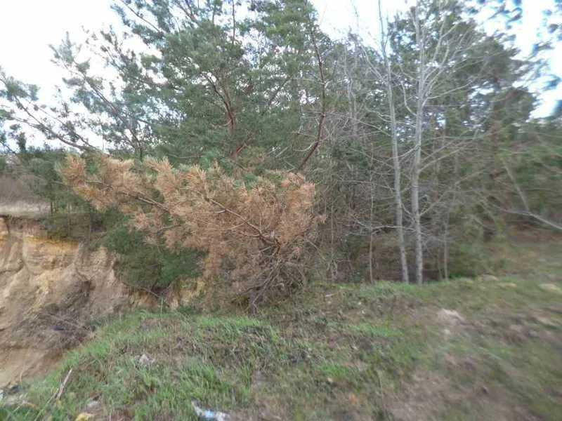 продажа земля сельскохозяйственного назначения Бориспольский, Вороньков, 250000 грн.  - зображення 4