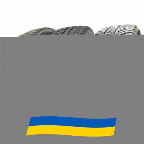315/35 R20 Michelin Pilot Alpin PA4 110V Легкова шина Київ