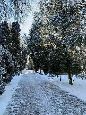 Санаторно-курортне лікування в санаторії "Березовий гай" Вінниця