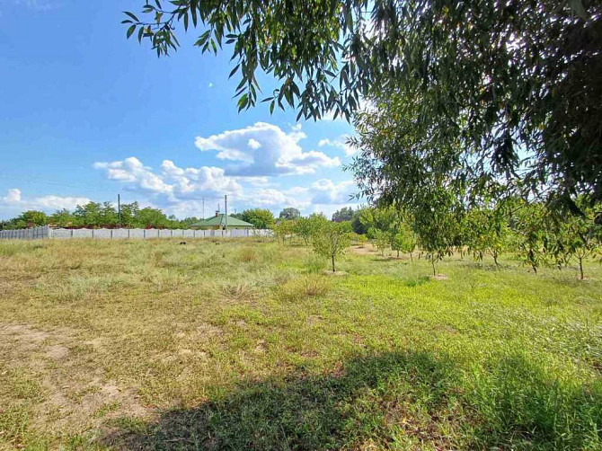 продажа 3-к дом Васильковский, Погребы, 39000 $  - изображение 7