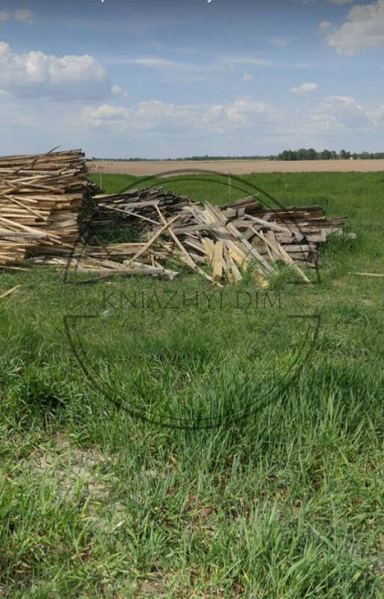 Срочная продажа участка в с. Соболевка между Летками и Леточками на реке любичь-десна Киев - изображение 2