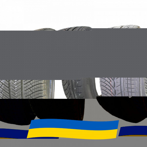 295/30 R20 Michelin Pilot Alpin PA4 97V Легкова шина Киев - изображение 1