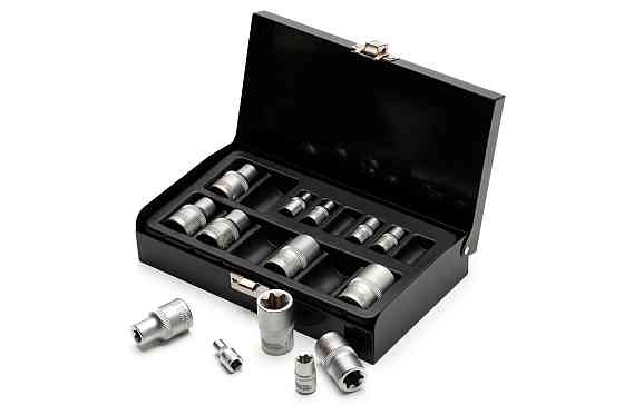 Набор головок торцевых E-TORX MASTERTOOL ¼" E4-E10 ½" E10-E22 CrV 14 шт металлический кейс 78-1414 Харків