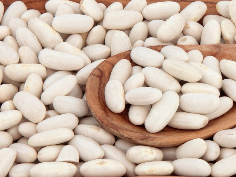 Посівний матеріал білої і кольорової квасолі (в асортименті) Харків - зображення 1