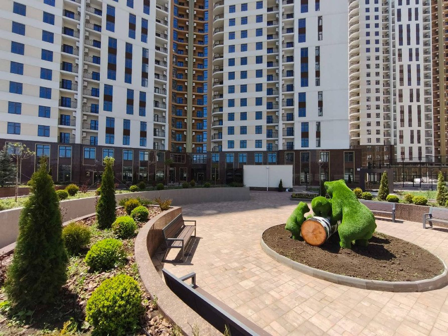 Топиарное искусство под заказ «утро в сосновом лесу» Київ - зображення 5