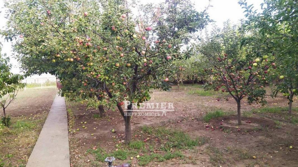 Будинок на 25 сотках с. Красносілка. АГВ. Одесса - изображение 6