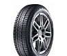 215/55 R17 Sunny Winter-maX A1 NW211 98V Легкова шина Киев
