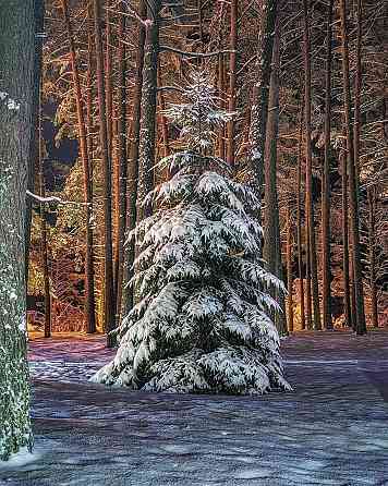 Готовий тепличний бізнес Київський район Одеса! Інвестиційний обєкт в Україні Одесса