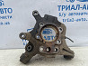 Цапфа задняя левая Infiniti QX60 2013-2021 430193JA0A (Арт. 73390) Киев