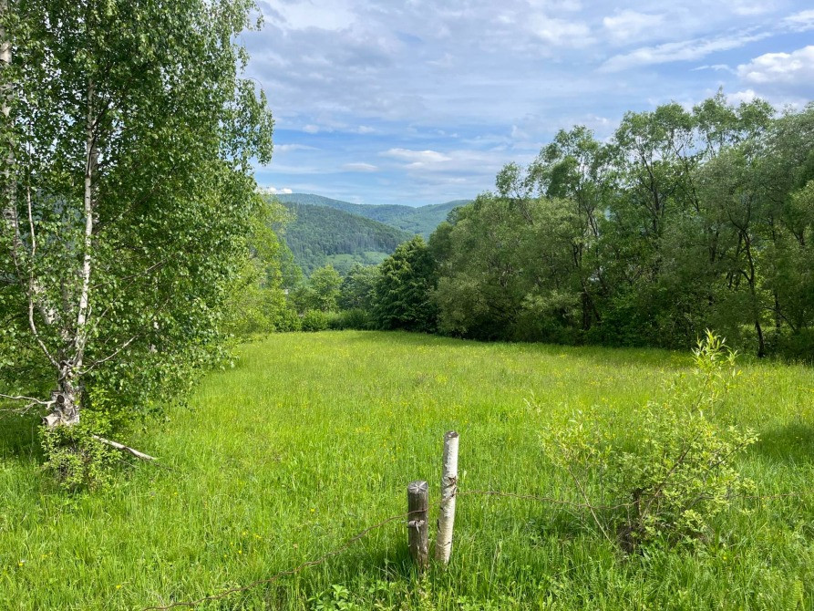 Земельна ділянка 0.18 га в Яремче Яремче - изображение 5