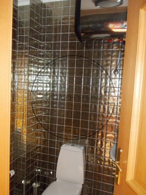 Дом с. Процев 240 кв.м. + участок 80 соток, 25 км.от м. Славутич КОД объекта : 131036 Киев - изображение 12