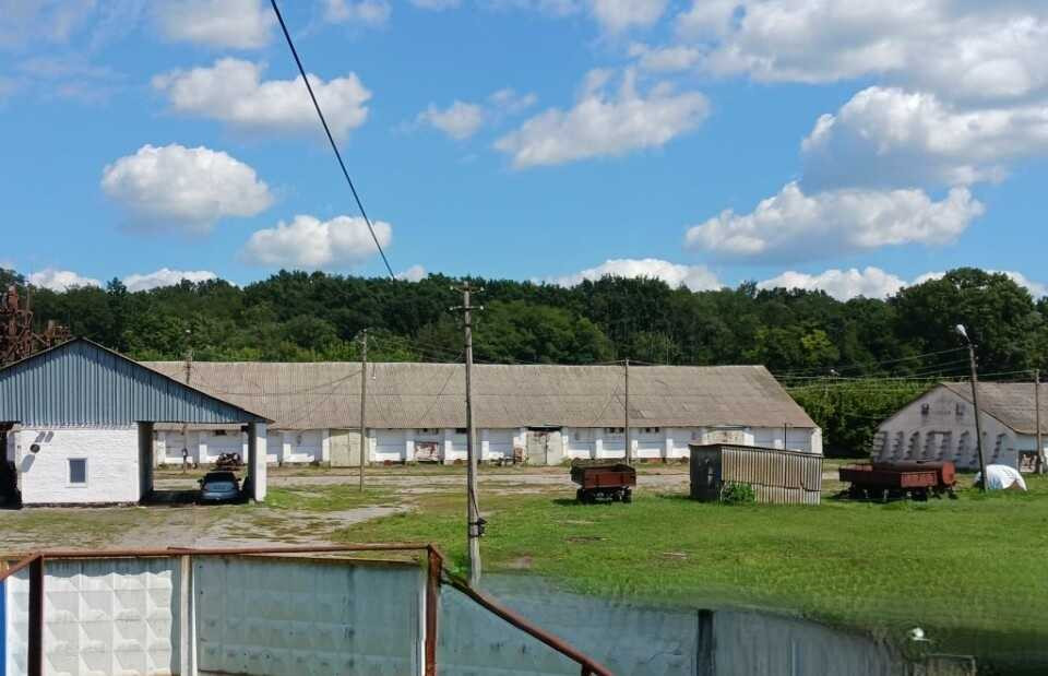 продажа помещения свободного назначения, здания Згуровский, Жовтневое, 7141632 грн.  - изображение 5