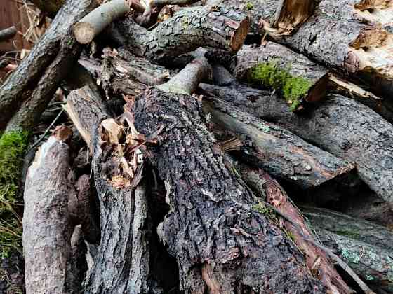 БЕСПЛАТНО МНОГО Отдам Деревья Дрова Ветки Бревна Пеньки Отопление Пиломатериалы Київ