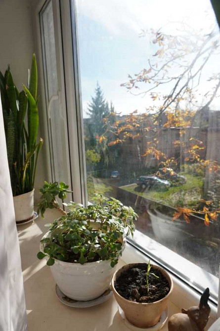 продажа 2-к квартира Полтава, Киевский, 45000 $ Полтава - зображення 2